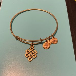 Alex and Ani Charm Bracelet